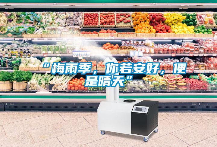 “梅雨季，你若安好，便是晴天”