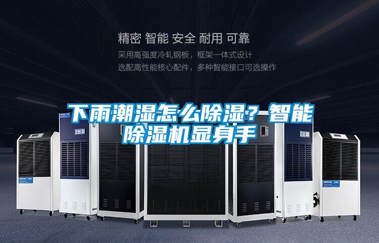 下雨潮濕怎么除濕？智能除濕機顯身手