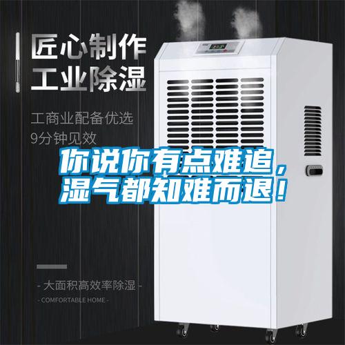 你說(shuō)你有點(diǎn)難追，濕氣都知難而退！