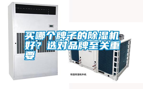 買哪個牌子的除濕機好？選對品牌至關(guān)重要