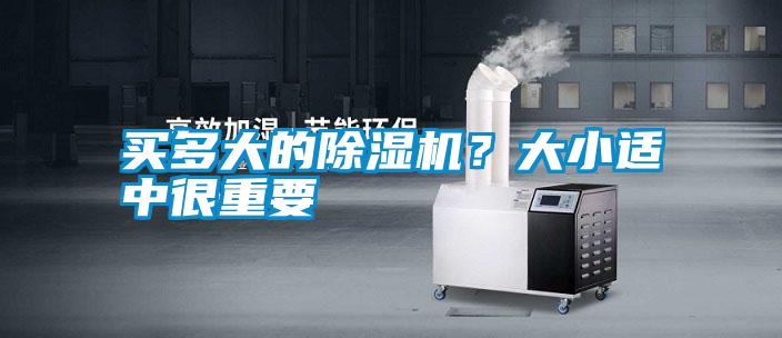 買多大的除濕機？大小適中很重要