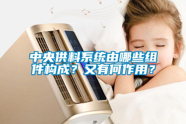 中央供料系統(tǒng)由哪些組件構(gòu)成？又有何作用？