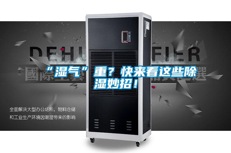 “濕氣”重？快來看這些除濕妙招！
