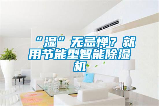 “濕”無忌憚？就用節(jié)能型智能除濕機(jī)