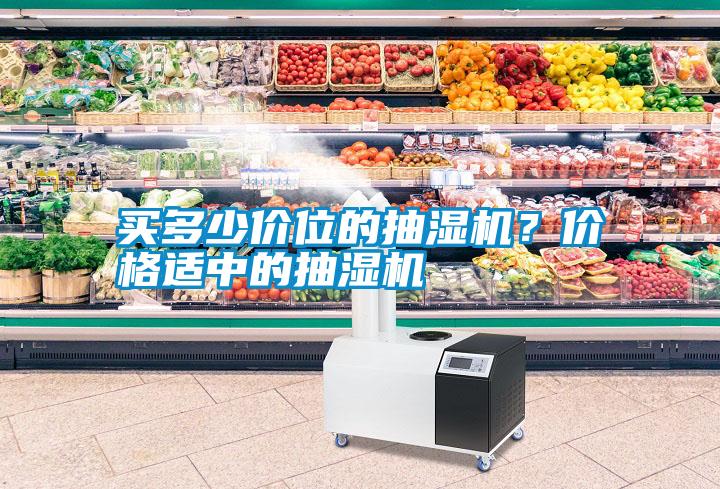 買多少價位的抽濕機？價格適中的抽濕機