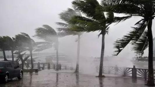 8月臺(tái)風(fēng)雨即將來(lái)，除濕機(jī)還得用起來(lái)