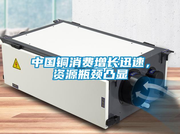 中國(guó)銅消費(fèi)增長(zhǎng)迅速，資源瓶頸凸顯