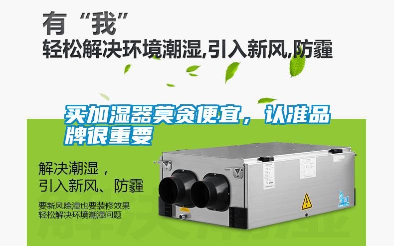 買加濕器莫貪便宜，認(rèn)準(zhǔn)品牌很重要