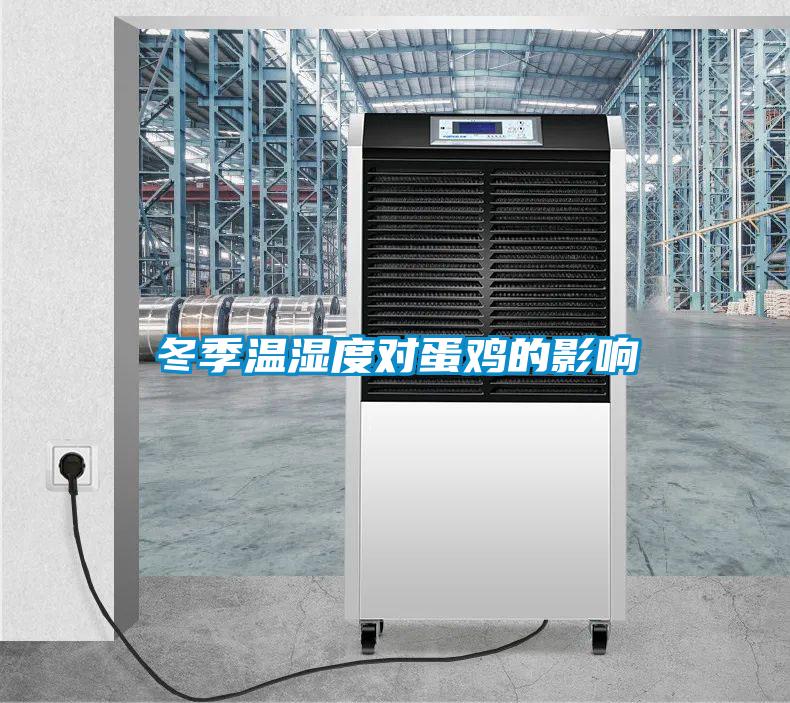 冬季溫濕度對蛋雞的影響