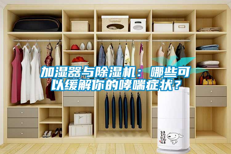 加濕器與除濕機：哪些可以緩解你的哮喘癥狀？