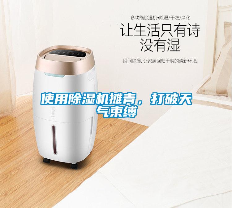 使用除濕機(jī)攤青，打破天氣束縛
