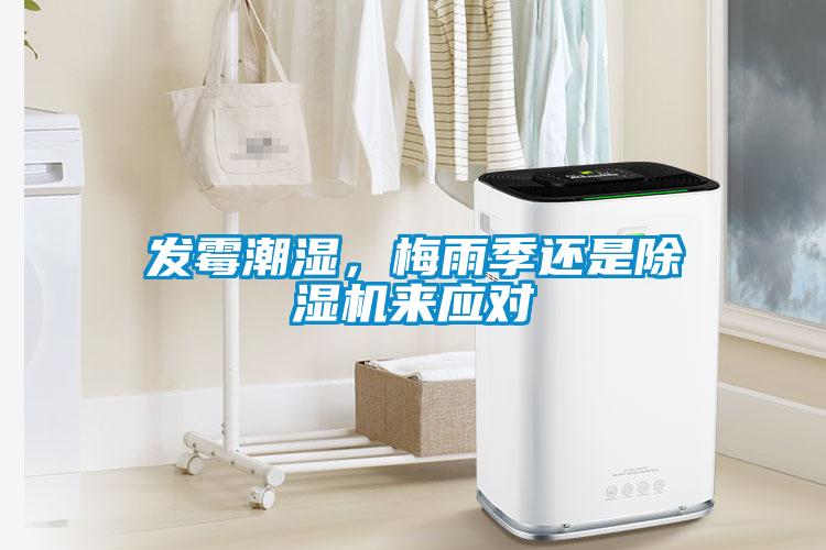 發(fā)霉潮濕，梅雨季還是除濕機(jī)來應(yīng)對(duì)