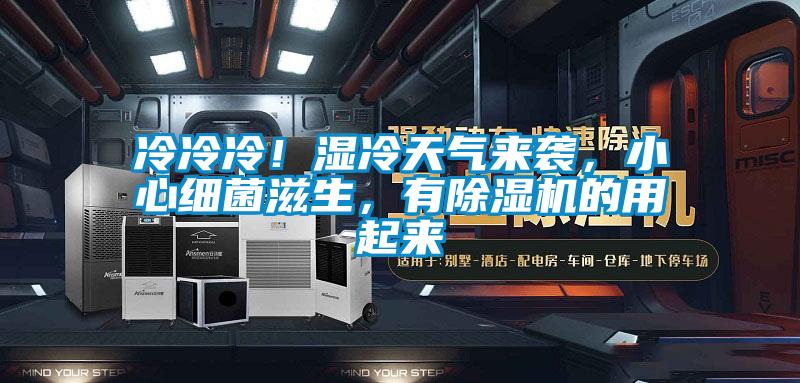 冷冷冷！濕冷天氣來襲，小心細菌滋生，有除濕機的用起來