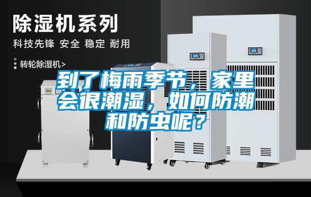 到了梅雨季節(jié)，家里會(huì)很潮濕，如何防潮和防蟲(chóng)呢？