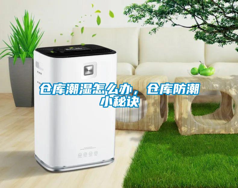 倉庫潮濕怎么辦，倉庫防潮小秘訣