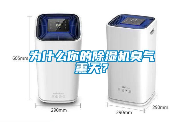 為什么你的除濕機(jī)臭氣熏天？