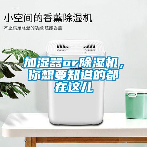 加濕器or除濕機(jī)，你想要知道的都在這兒