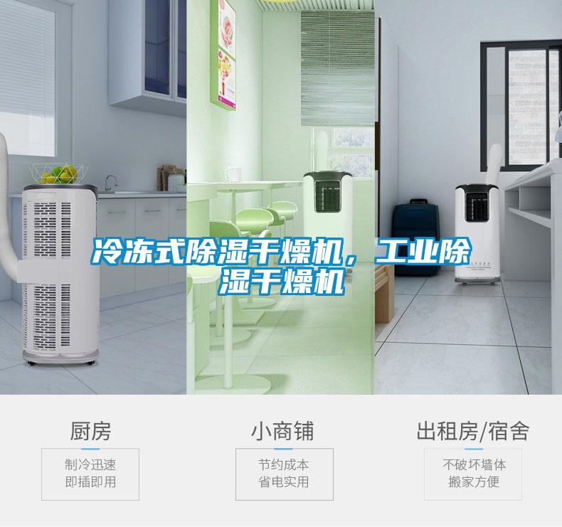 冷凍式除濕干燥機(jī)，工業(yè)除濕干燥機(jī)