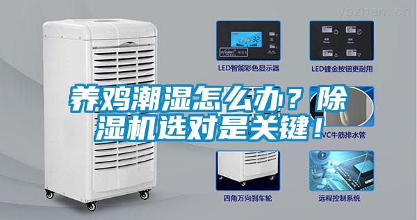 養(yǎng)雞潮濕怎么辦？除濕機選對是關(guān)鍵！