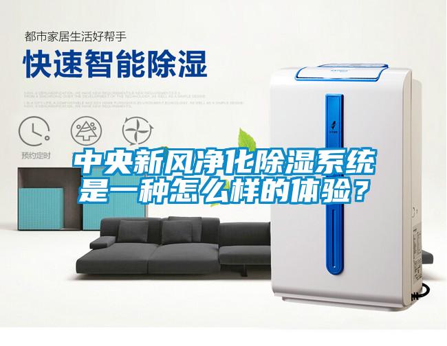 中央新風(fēng)凈化除濕系統(tǒng)是一種怎么樣的體驗(yàn)？
