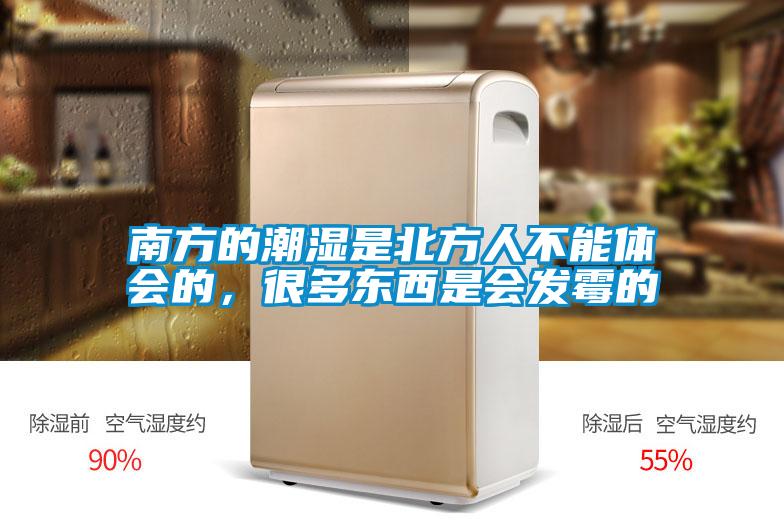 南方的潮濕是北方人不能體會的，很多東西是會發(fā)霉的