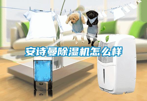 安詩(shī)曼除濕機(jī)怎么樣