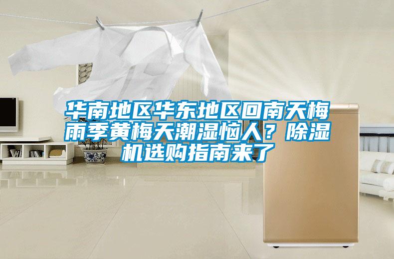 華南地區(qū)華東地區(qū)回南天梅雨季黃梅天潮濕惱人？除濕機選購指南來了