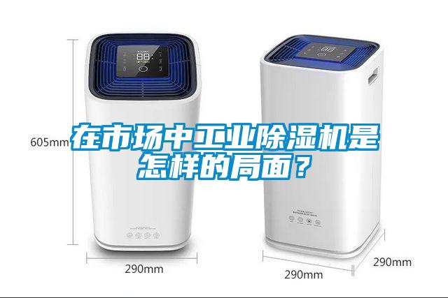 在市場(chǎng)中工業(yè)除濕機(jī)是怎樣的局面？