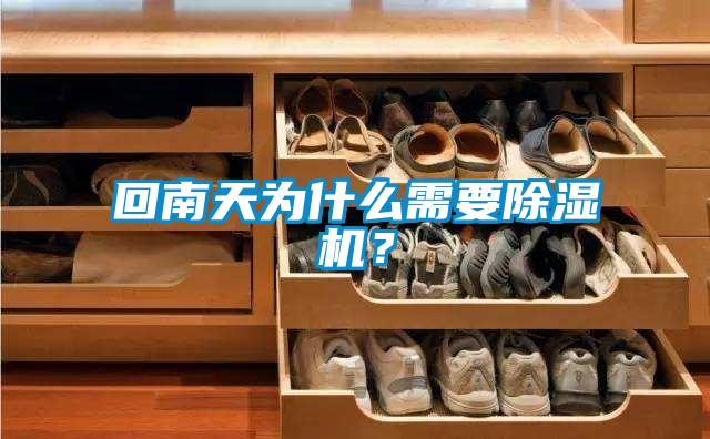 回南天為什么需要除濕機(jī)？