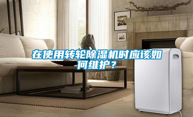 在使用轉(zhuǎn)輪除濕機時應該如何維護？