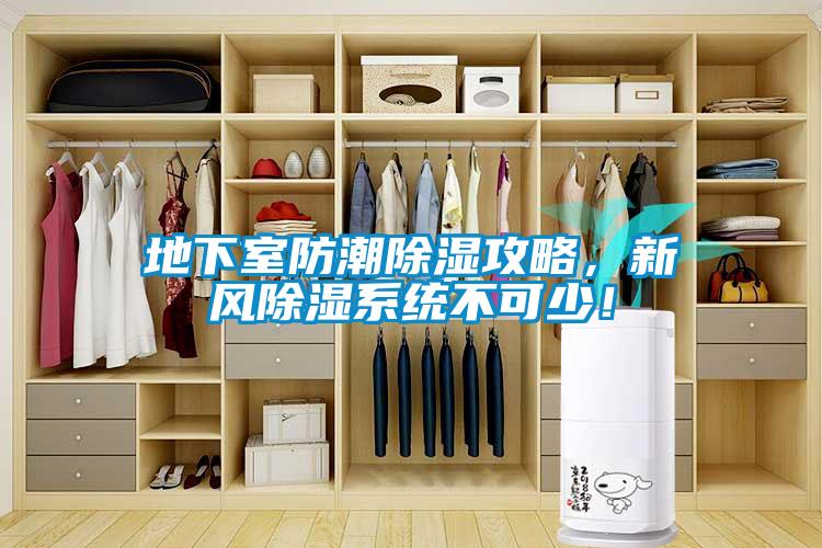 地下室防潮除濕攻略，新風(fēng)除濕系統(tǒng)不可少！