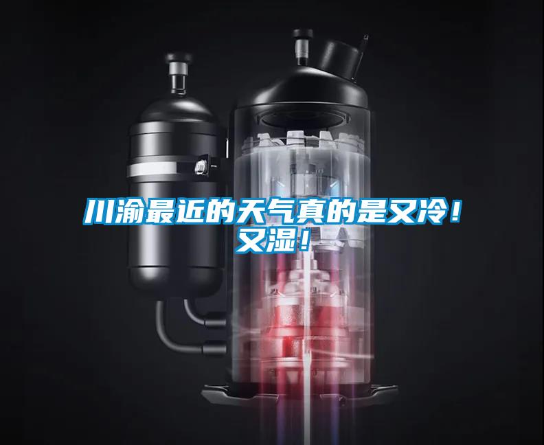 川渝最近的天氣真的是又冷！又濕！
