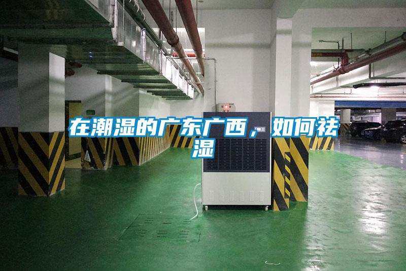 在潮濕的廣東廣西，如何祛濕