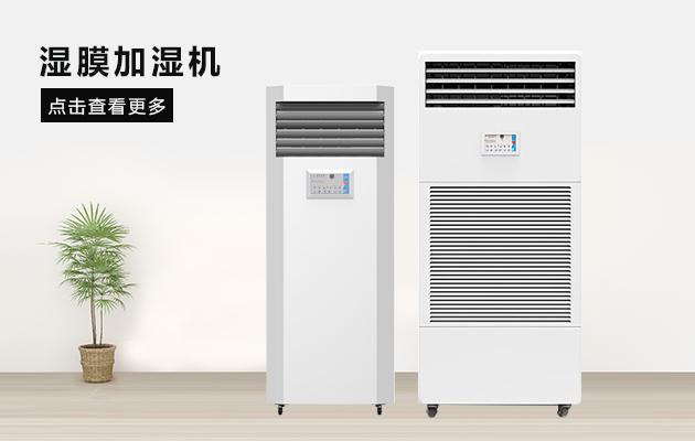 臺風過后房子如何自救？汽車如何理賠？