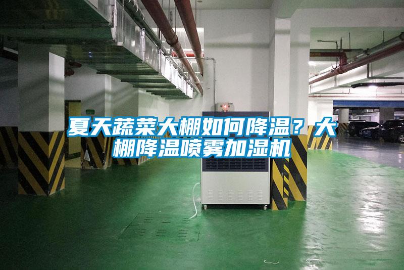 夏天蔬菜大棚如何降溫？大棚降溫噴霧加濕機(jī)