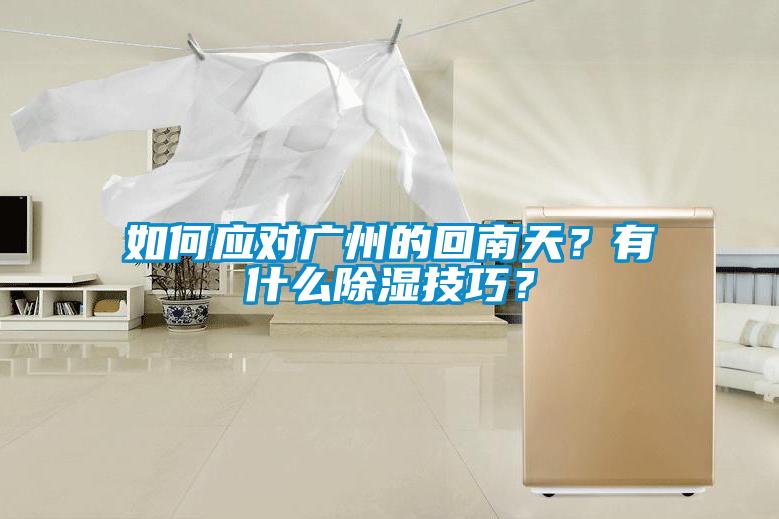 如何應(yīng)對(duì)廣州的回南天？有什么除濕技巧？