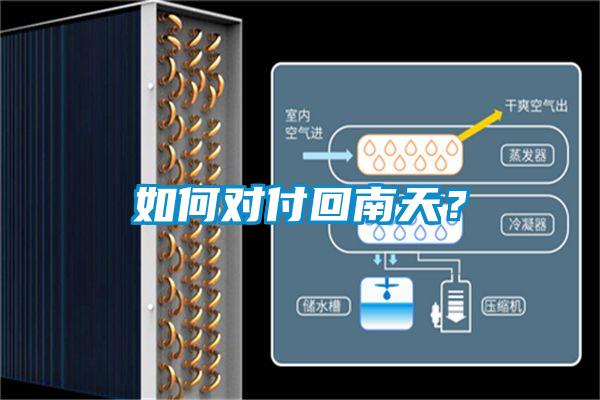 如何對付回南天？