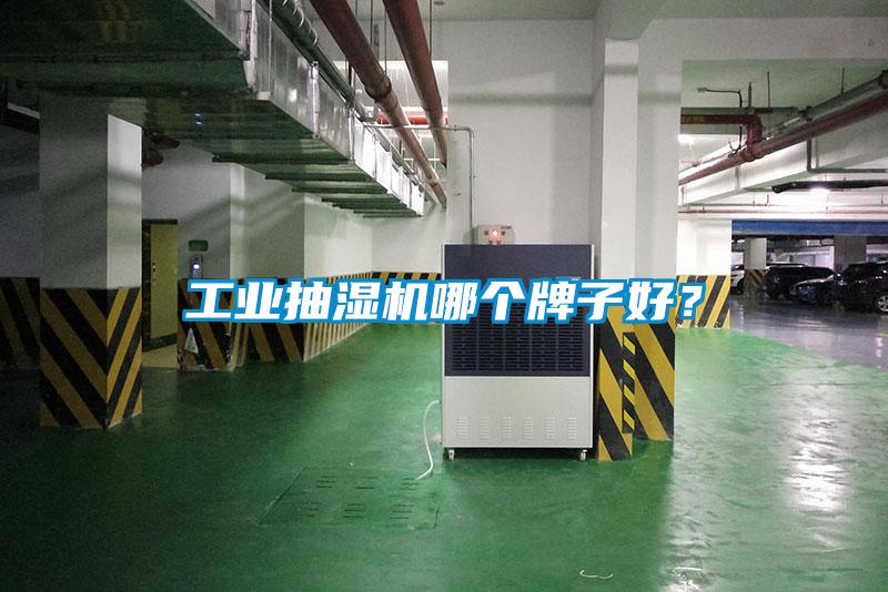 工業(yè)抽濕機哪個牌子好？