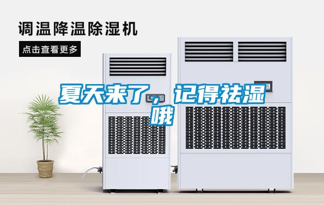 夏天來了，記得祛濕哦