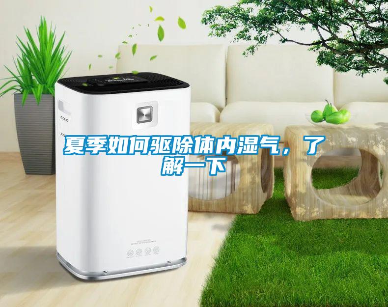夏季如何驅(qū)除體內(nèi)濕氣，了解一下