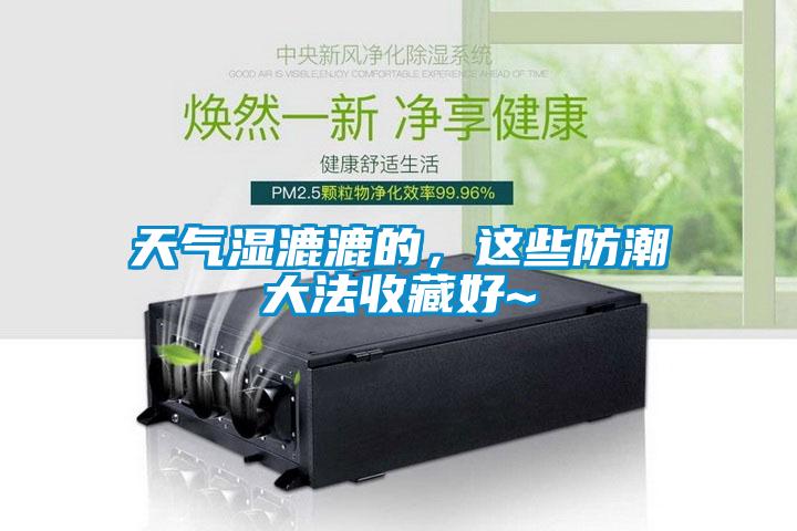 天氣濕漉漉的，這些防潮大法收藏好~