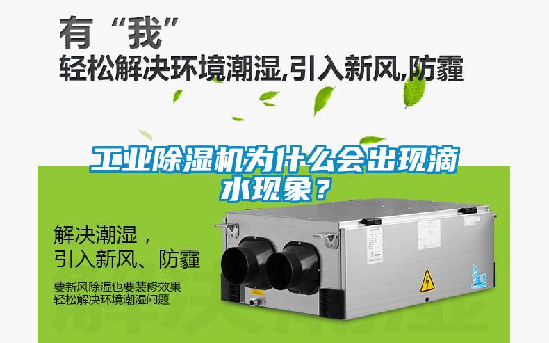 工業(yè)除濕機(jī)為什么會(huì)出現(xiàn)滴水現(xiàn)象？
