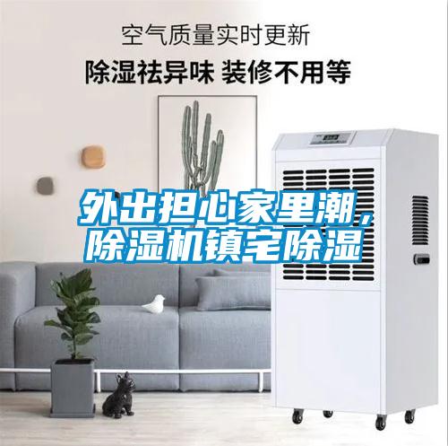 外出擔(dān)心家里潮，除濕機(jī)鎮(zhèn)宅除濕