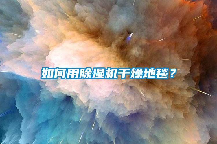 如何用除濕機(jī)干燥地毯？