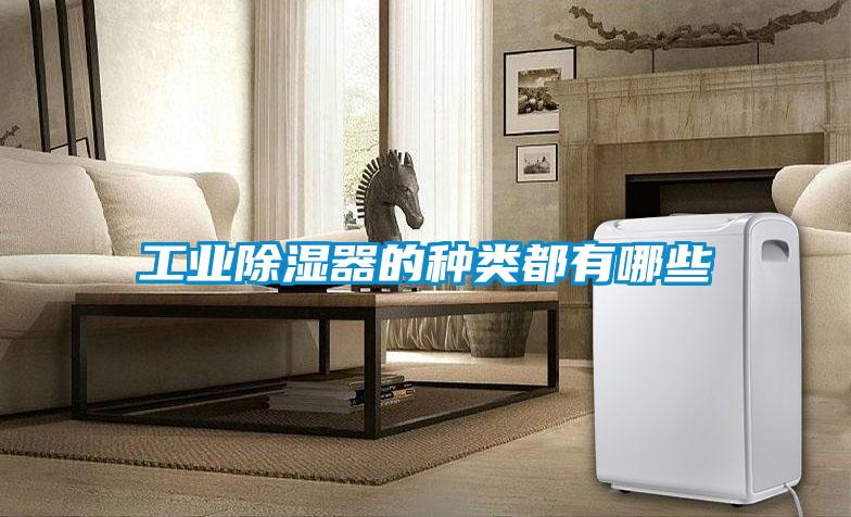 工業(yè)除濕器的種類都有哪些