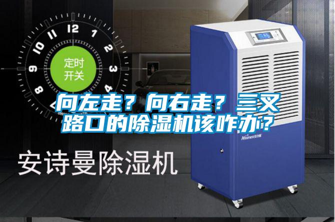 向左走？向右走？三叉路口的除濕機該咋辦？