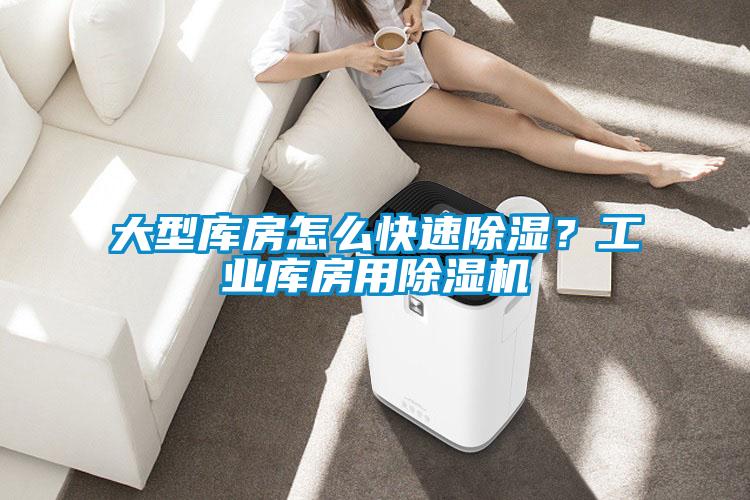 大型庫房怎么快速除濕？工業(yè)庫房用除濕機(jī)