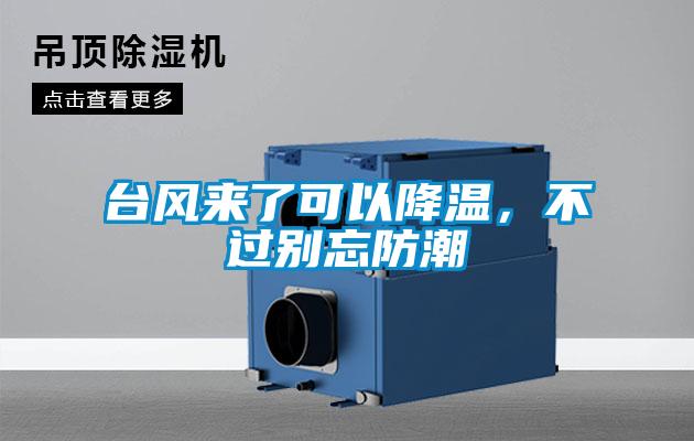 臺(tái)風(fēng)來(lái)了可以降溫，不過(guò)別忘防潮