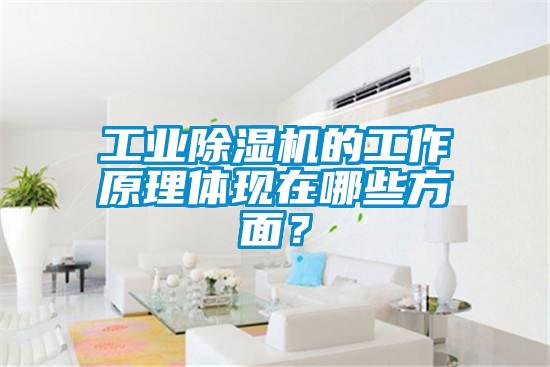 工業(yè)除濕機(jī)的工作原理體現(xiàn)在哪些方面？