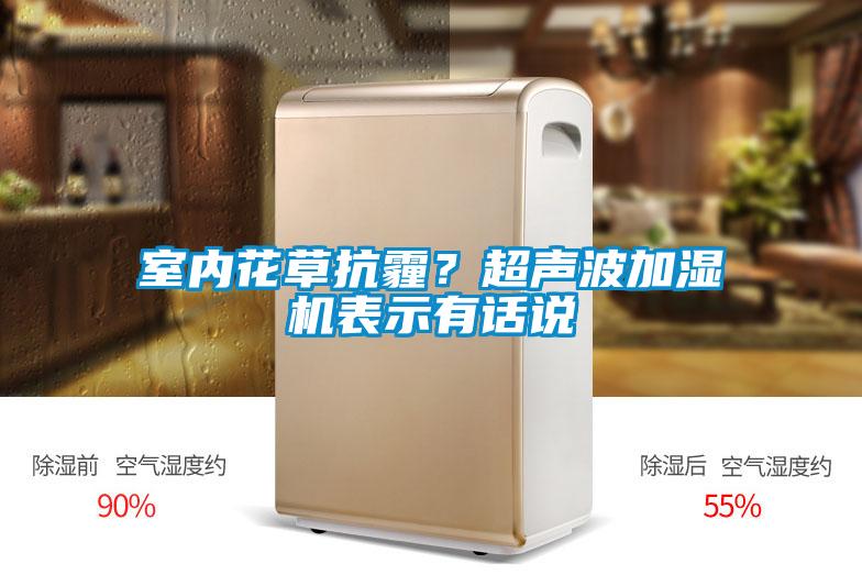 室內(nèi)花草抗霾？超聲波加濕機(jī)表示有話說